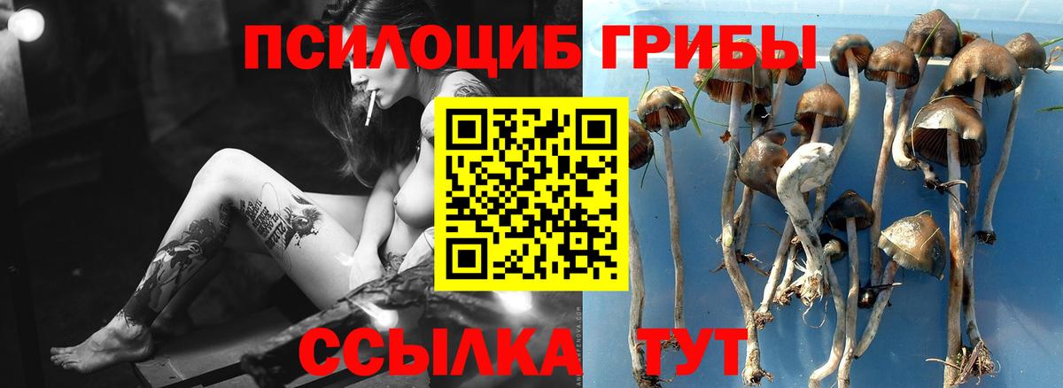 Псилоцибиновые грибы ЛСД Химки